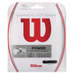 Synthetic Gut Power Tennis String Strings Wilson