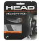 Velocity MLT Tennis String Strings Head