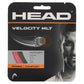 Velocity MLT Tennis String Strings Head