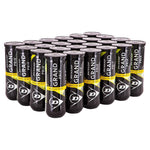 Grand Prix Regular Duty Tennis Ball Case Balls Dunlop