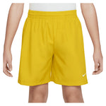 Boys` Multi Dri-FIT Training Shorts Apparel Nike