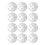 Indoor Pickleballs 12 Pack Balls Jugs