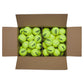 Triniti Club Ball Case Balls Wilson