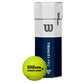 Triniti Pro 3 Tennis Ball Case Balls Wilson