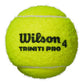 Triniti Pro 3 Tennis Ball Case Balls Wilson