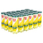 Championship Regular Duty Ball Case Balls Wilson