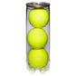 Practice Extra Duty Tennis Ball Case Balls Wilson