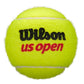 US Open Extra Duty Tennis Ball Case Balls Wilson