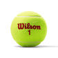 US Open Red Tournament Tennis Ball Case Balls Wilson