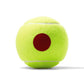 US Open Red Tournament Tennis Ball Case Balls Wilson