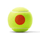 US Open Orange Tournament Tennis Ball Case Balls Wilson