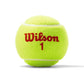 US Open Orange Tournament Tennis Ball Case Balls Wilson